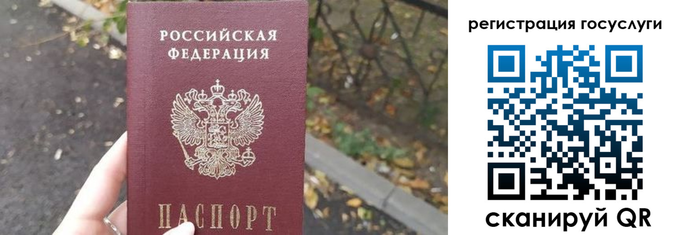 купить прописку в Куровском